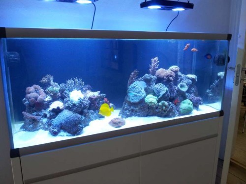 20120512_164721.jpg