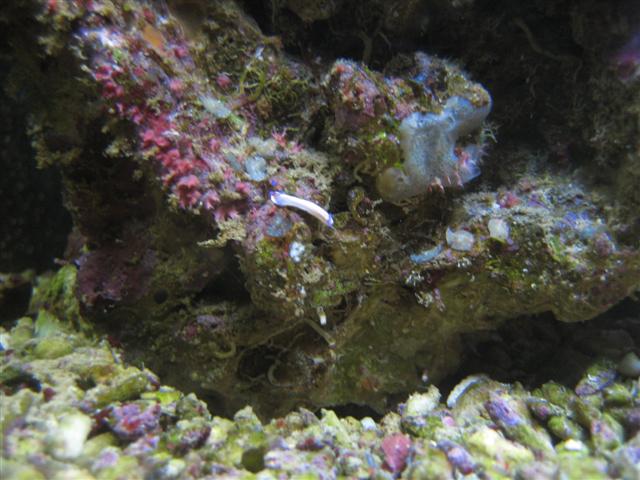 IMG_1348 (Small).JPG