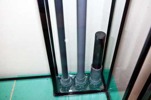 120419 Eget akvarium (8 of 10).jpg