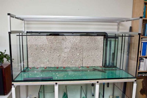 120428_eget akvarium (12 of 3).jpg