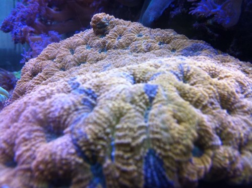 foto12.JPG