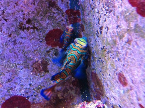foto8.JPG