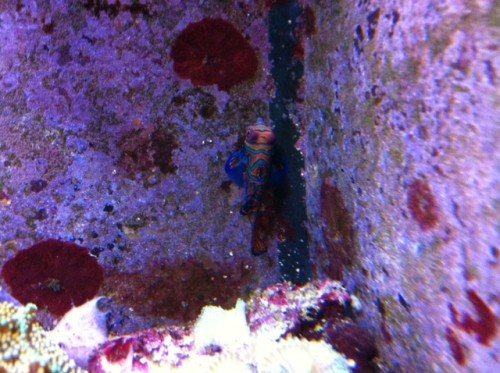 foto3.JPG