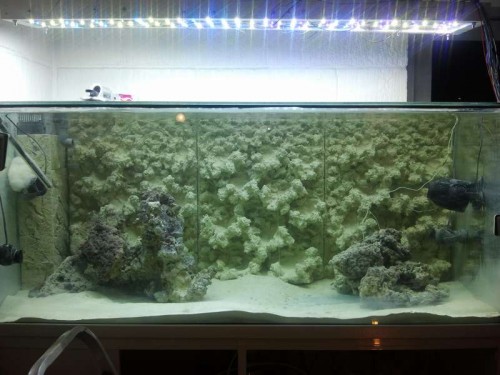 2012-05-09 22.02.16.jpg