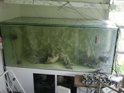 2012-05-08 10.14.47.jpg