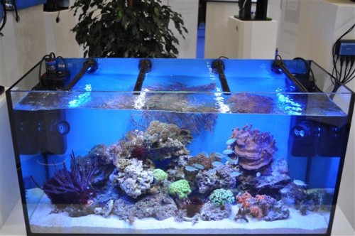 Tunze har også Led lys på programmet