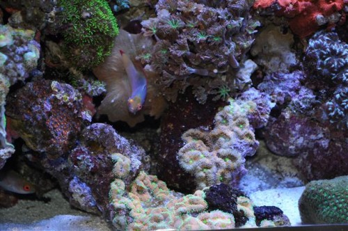 DSC_0049 (Small).JPG