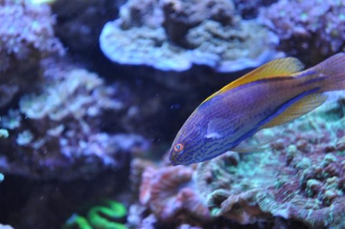 DSC_0048 (Small).JPG