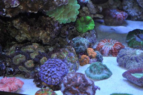 DSC_0047 (Small).JPG