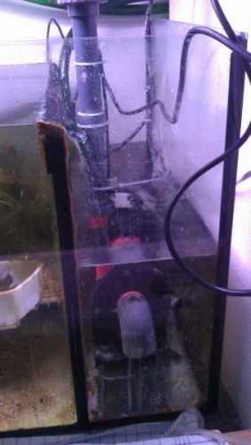 Højre side med returpumpen.