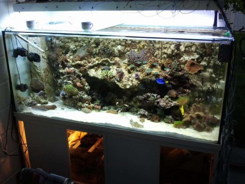 2012-05-28 21.34.02.jpg
