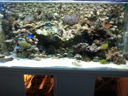 2012-05-28 21.35.20.jpg