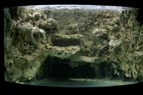 Trigon baggrund færdig front.JPG
