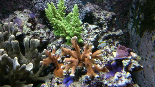 2012-05-23-279.jpg