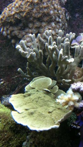 2012-05-23-275.jpg