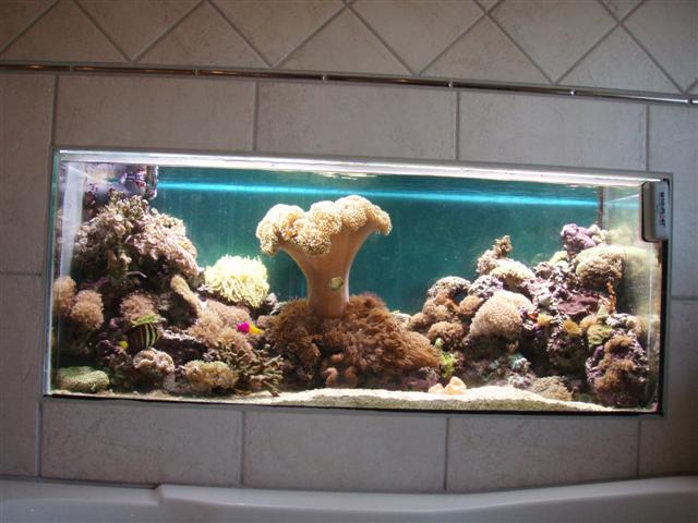 P2113745 (Small).JPG