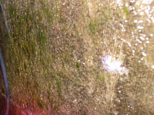 DSCN2595.JPG