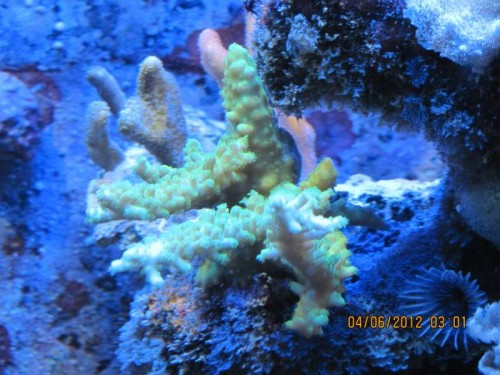 IMG_0685.JPG
