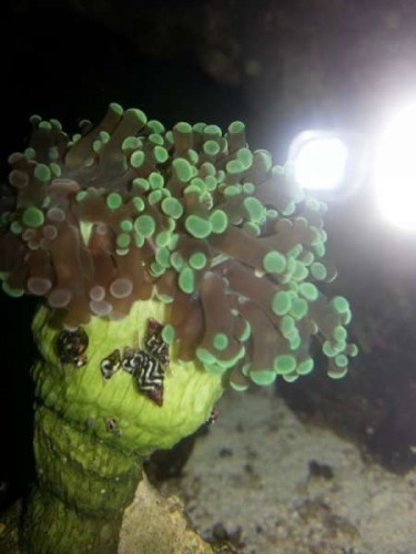 20120604_220114 (600x800).jpg