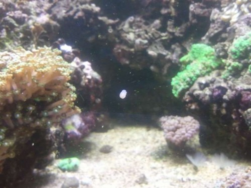 Billede0185.jpg
