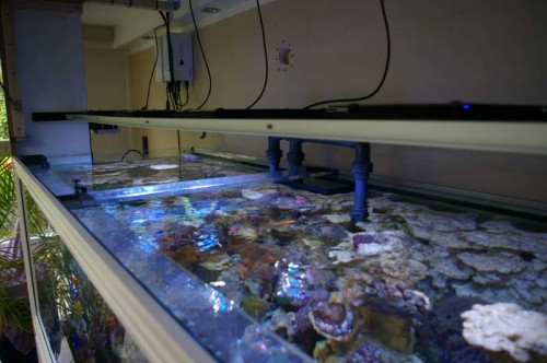 Overflade.JPG (44.4 KiB) Vist 2342 gange Et kig i "kassen"