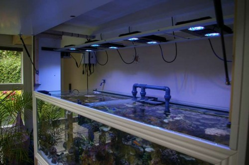 Lys eleveret.JPG (43.9 KiB) Vist 2208 gange Lyset hævet op.... Kan komme meget længere op.