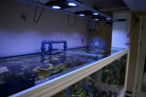 Lys eleveret 2.JPG (37.41 KiB) Vist 2342 gange Set fra en anden vinkel...