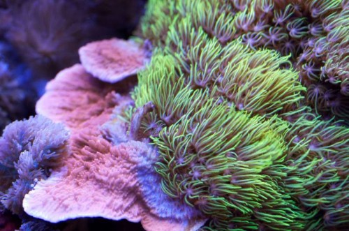 _IGP5554_1.JPG
