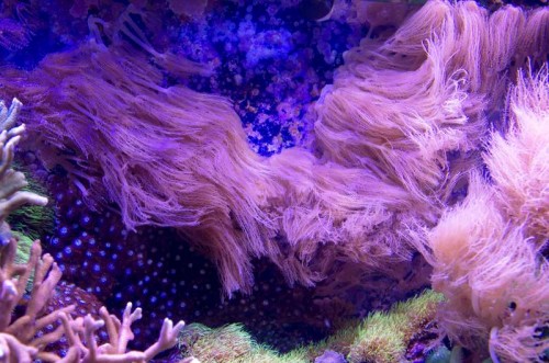 _IGP5587_1.JPG
