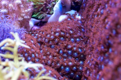 _IGP5592_1.JPG