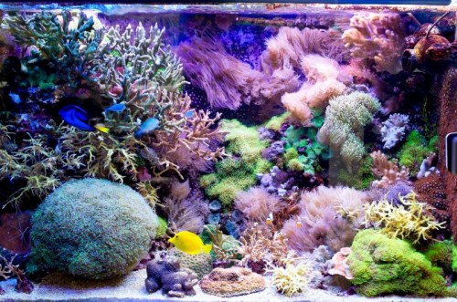 _IGP5595_1.JPG