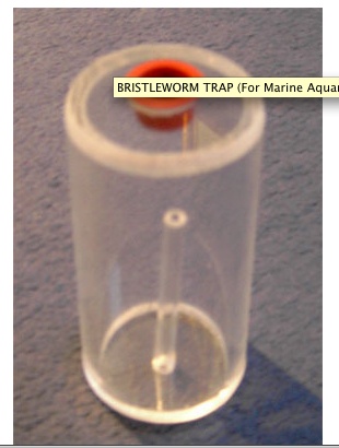 Bristleworm trap.jpg