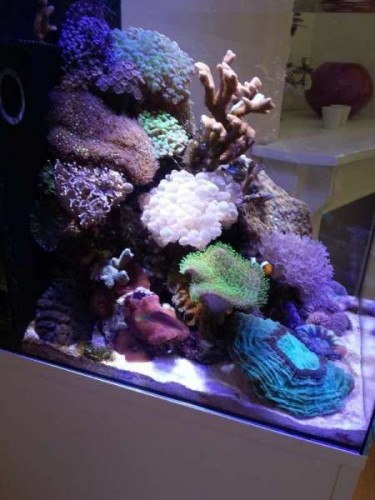 20120623_142743.jpg