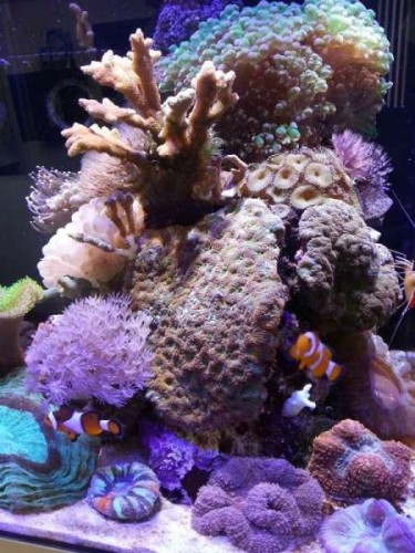 20120623_142758.jpg