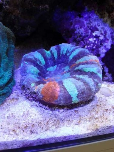 20120623_142813.jpg