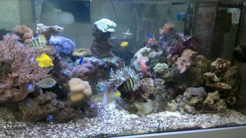 2012-06-26-031.jpg