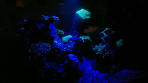 2012-06-27-039.jpg
