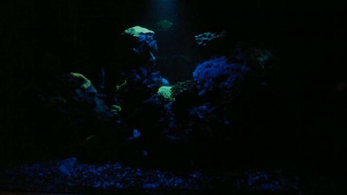 2012-06-27-041.jpg