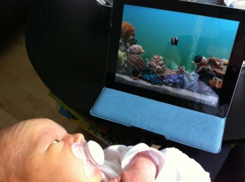 IMG_0317.JPG (35.37 KiB) Vist 4442 gange Antons første syn på virtuelle saltvandsfisk