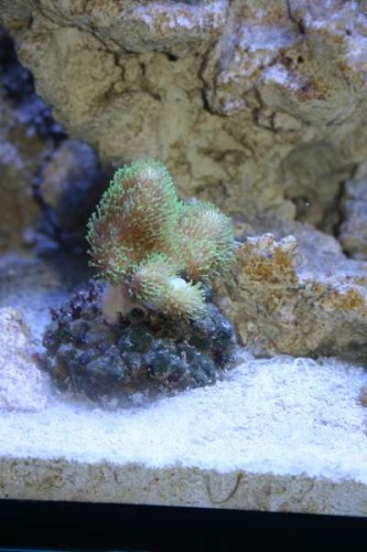 IMG_7603.JPG