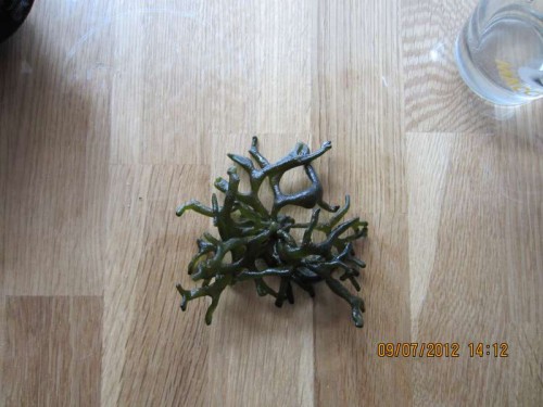 IMG_0041.JPG (49.4 KiB) Vist 660 gange hvad er det??