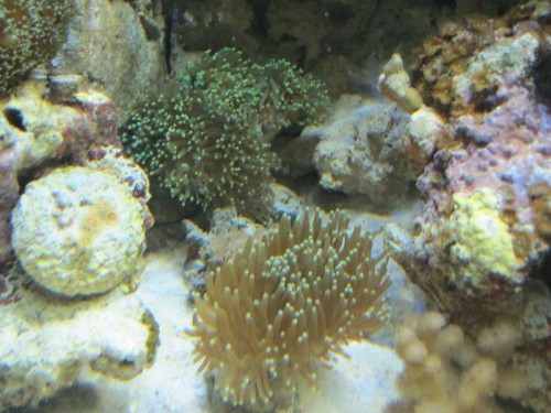 IMG_1231.JPG