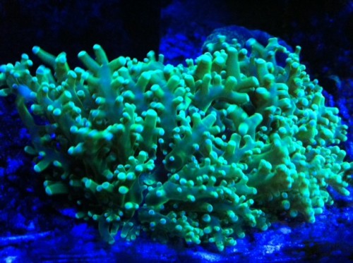 foto3.JPG