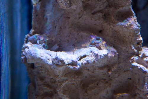 120719 Eget akvarium (5 of 10).jpg