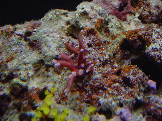 DSC00834.JPG