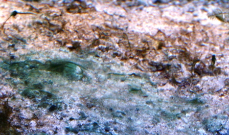 IMG_4164.jpg