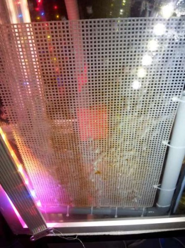 20120726_164304.jpg