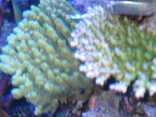 IMG_4079.jpg