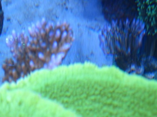 IMG_4080.jpg