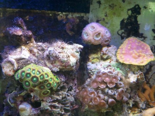 2012-08-01 10.55.08.jpg